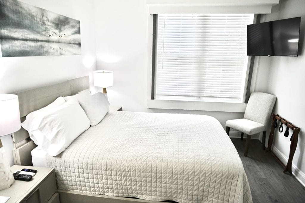 Boutique-Hotel-Nest-1-Elaines-Cape-May-edited-2 svg+xml;charset=utf -