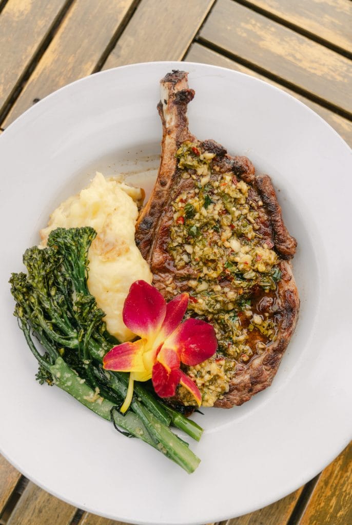 Elaines-Cape-May-restaurant-bar svg+xml;charset=utf -