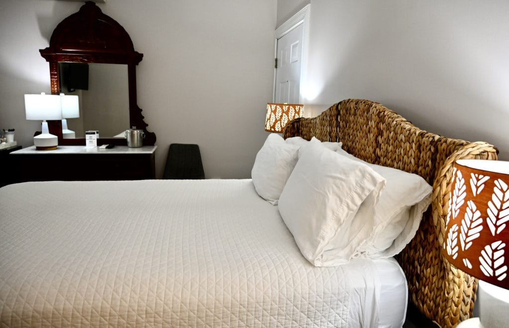 Boutique-Hotel-Nest-2-Elaines-Cape-May-edited-7 svg+xml;charset=utf -