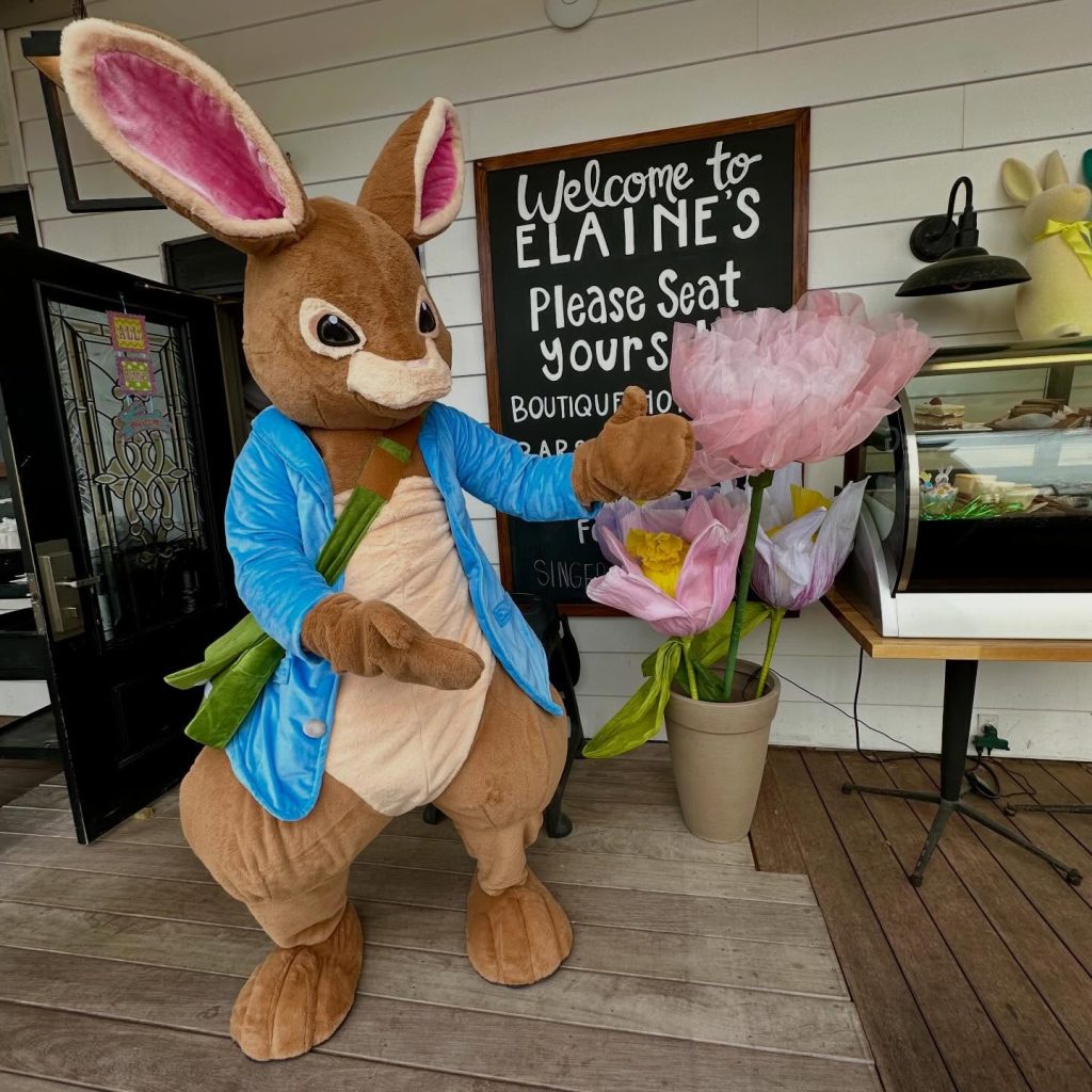 Live Music & Events - svg+xml;charset=utf -